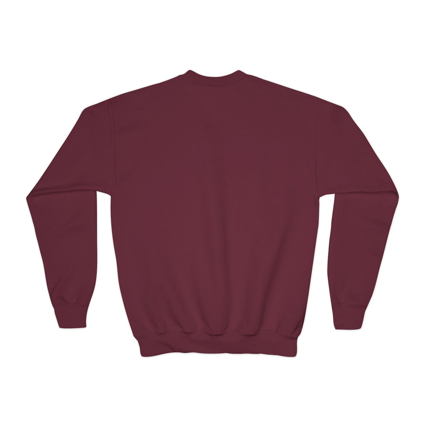 HP Logo Youth Sweatshirt