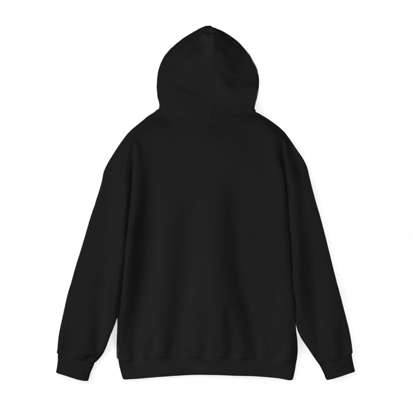 Snapchat Logo Adult Hoodie