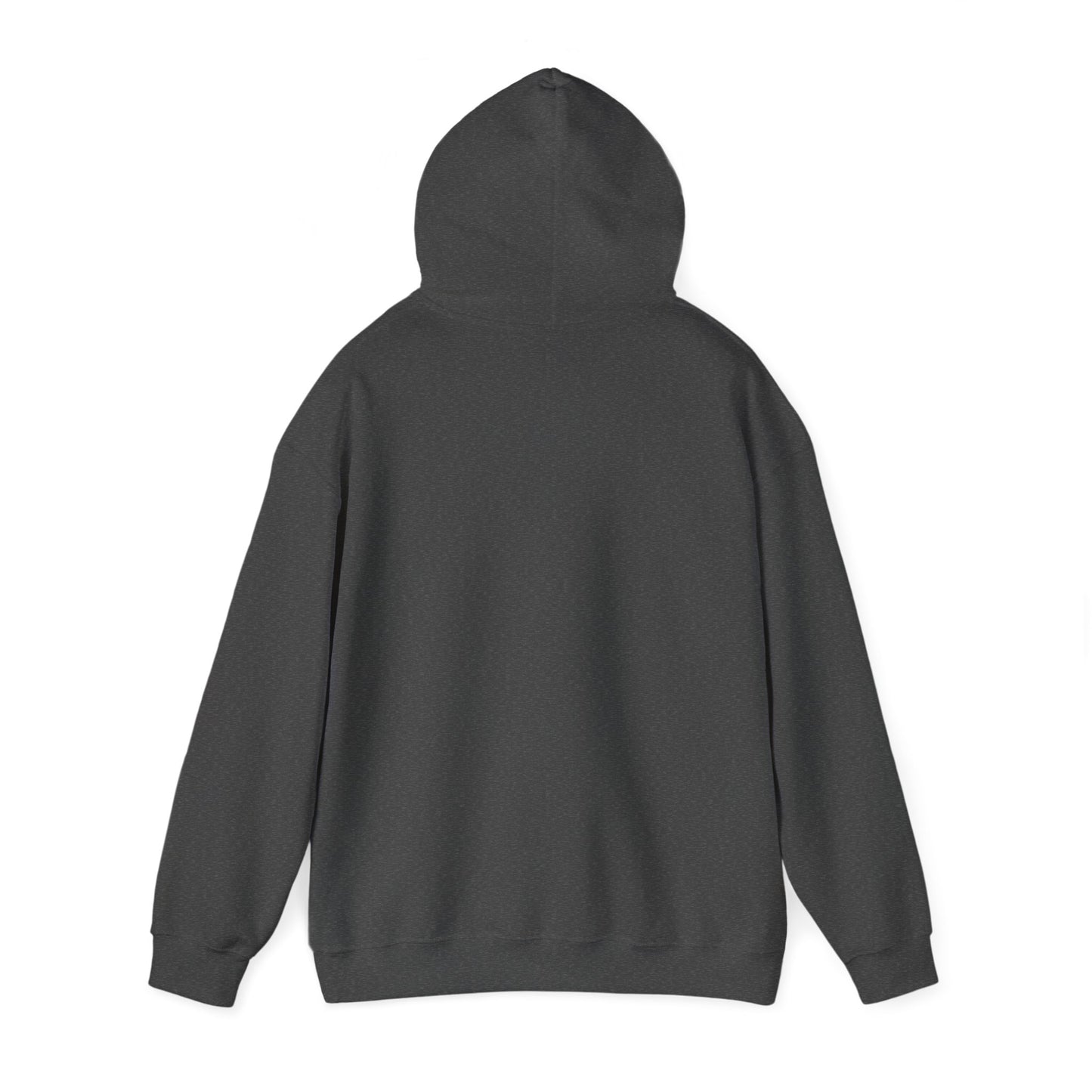 Snapchat Logo Adult Hoodie
