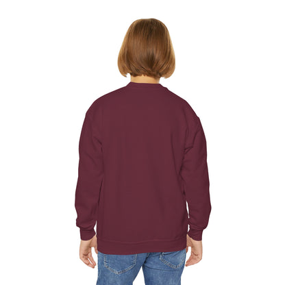 BMW Logo Youth Sweatshirt