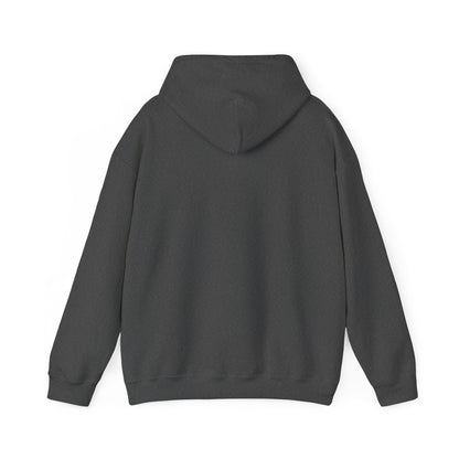 WhatsApp Logo Adult Hoodie