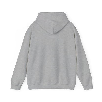 WhatsApp Logo Adult Hoodie